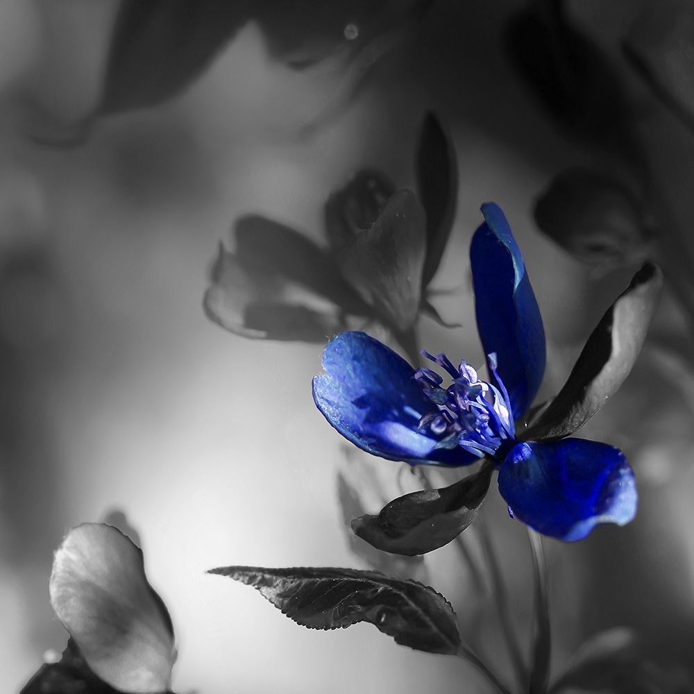 Blues art print by Jamie Phillip for $57.95 CAD