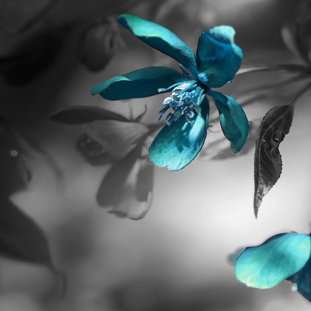 Teal art print by Jamie Phillip for $57.95 CAD