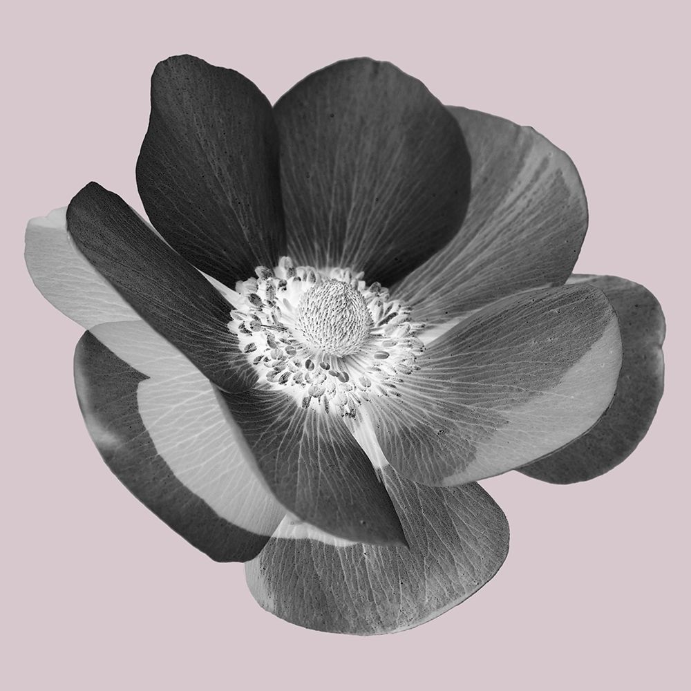 My Heart art print by Jamie Phillip for $57.95 CAD