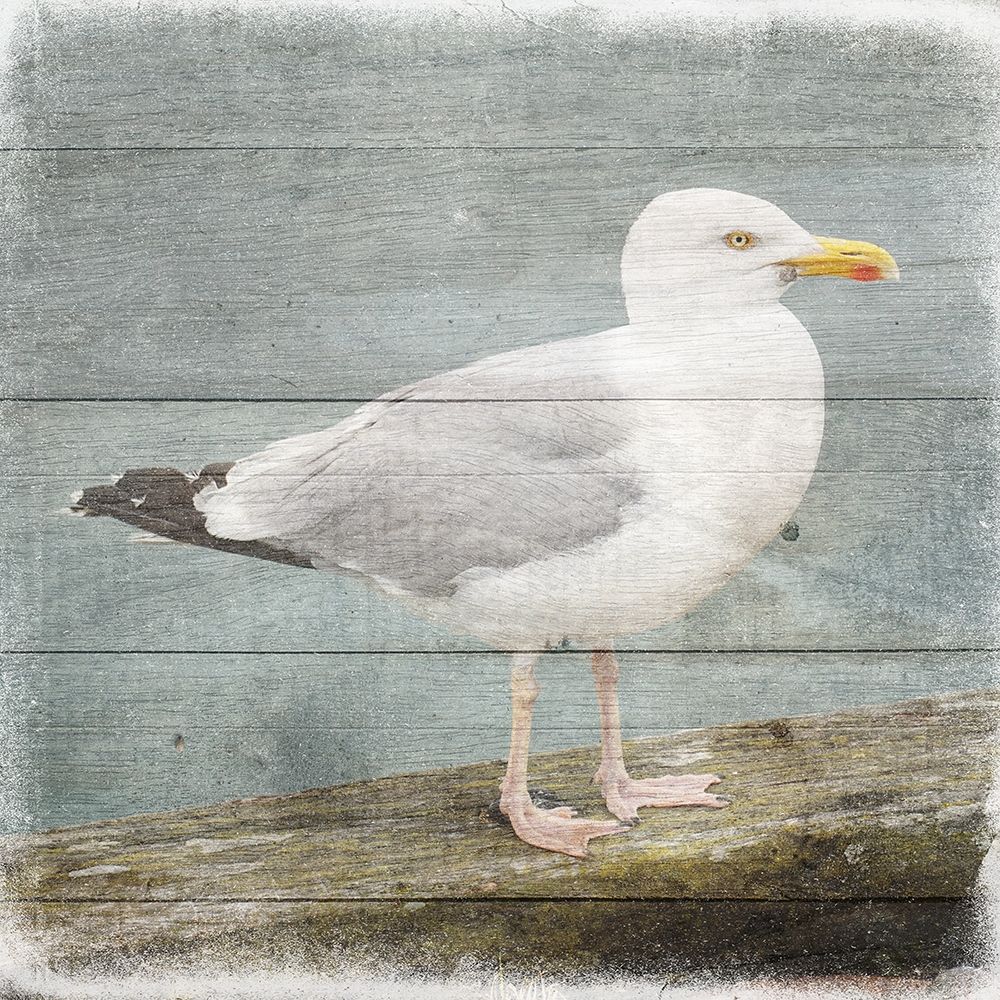 Marquis Bay 2 art print by Jamie Phillip for $57.95 CAD