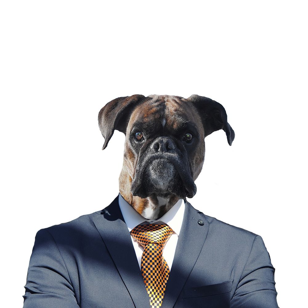 Ruff Top art print by Jamie Phillip for $57.95 CAD
