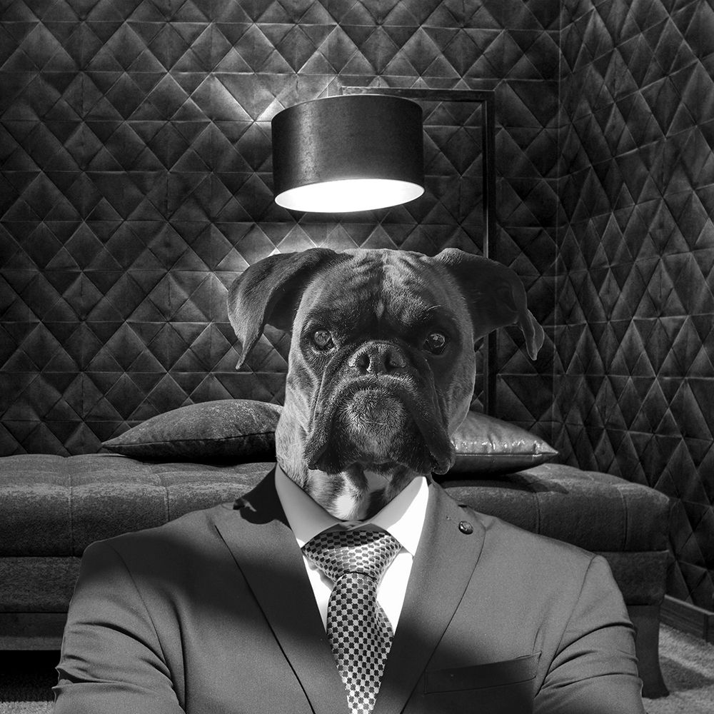 Ruff Top 2 art print by Jamie Phillip for $57.95 CAD