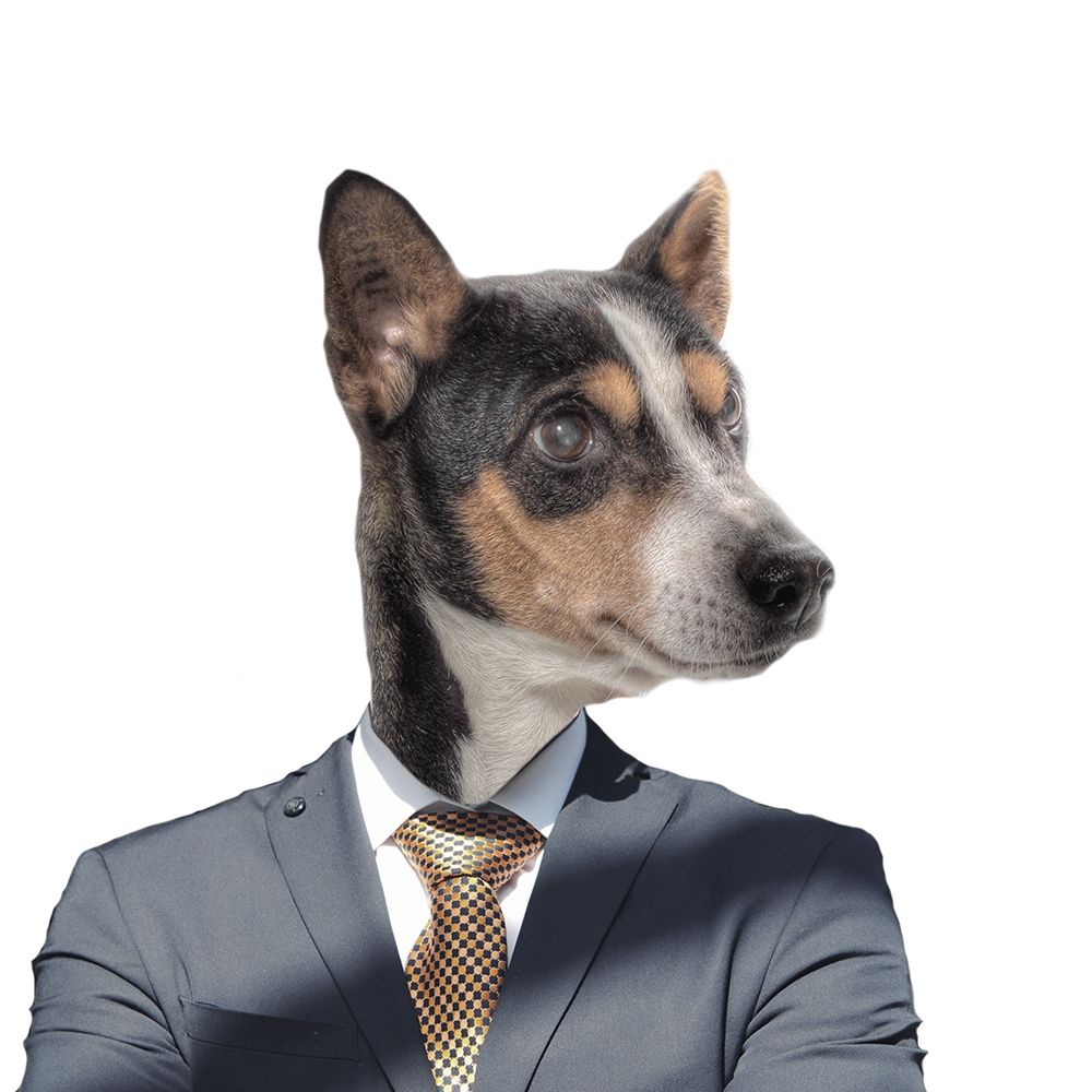 Ruff Top 3 art print by Jamie Phillip for $57.95 CAD