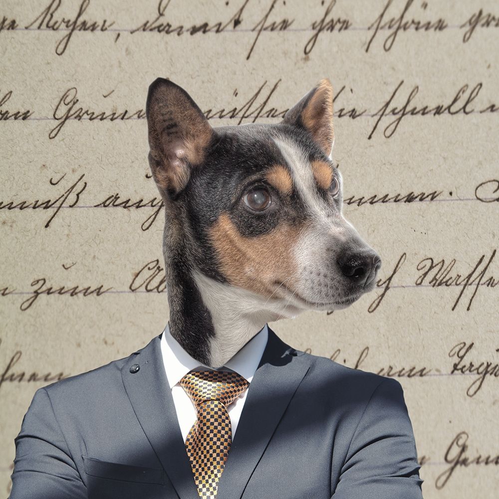 Ruff Top 4 art print by Jamie Phillip for $57.95 CAD