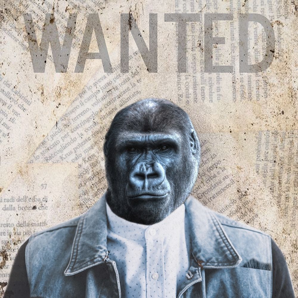 Wanted art print by Jamie Phillip for $57.95 CAD
