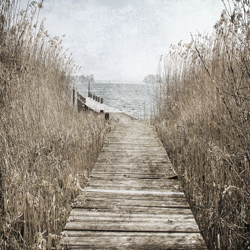 Marshland Quack 2 art print by Jamie Phillip for $57.95 CAD