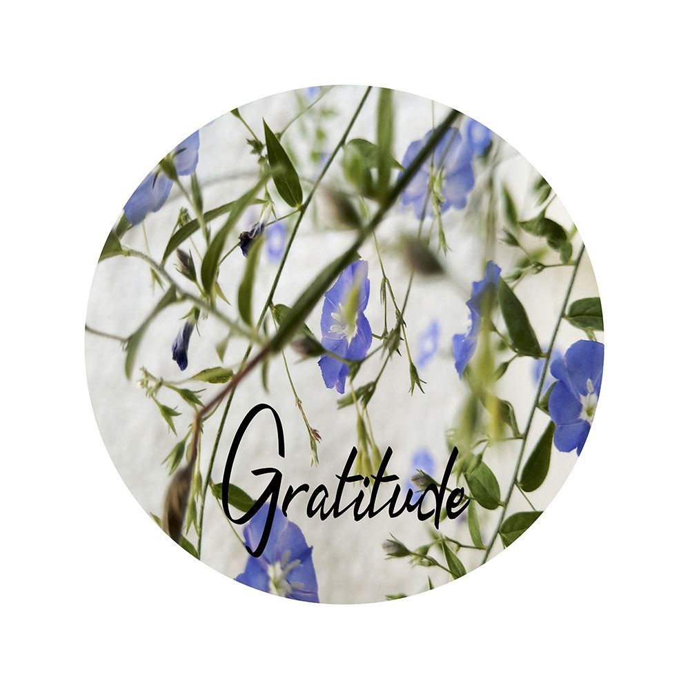 Gratitude art print by Jamie Phillip for $57.95 CAD