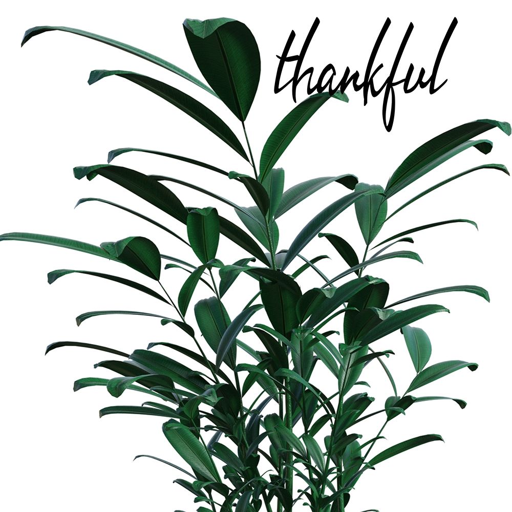 Thankful art print by Jamie Phillip for $57.95 CAD