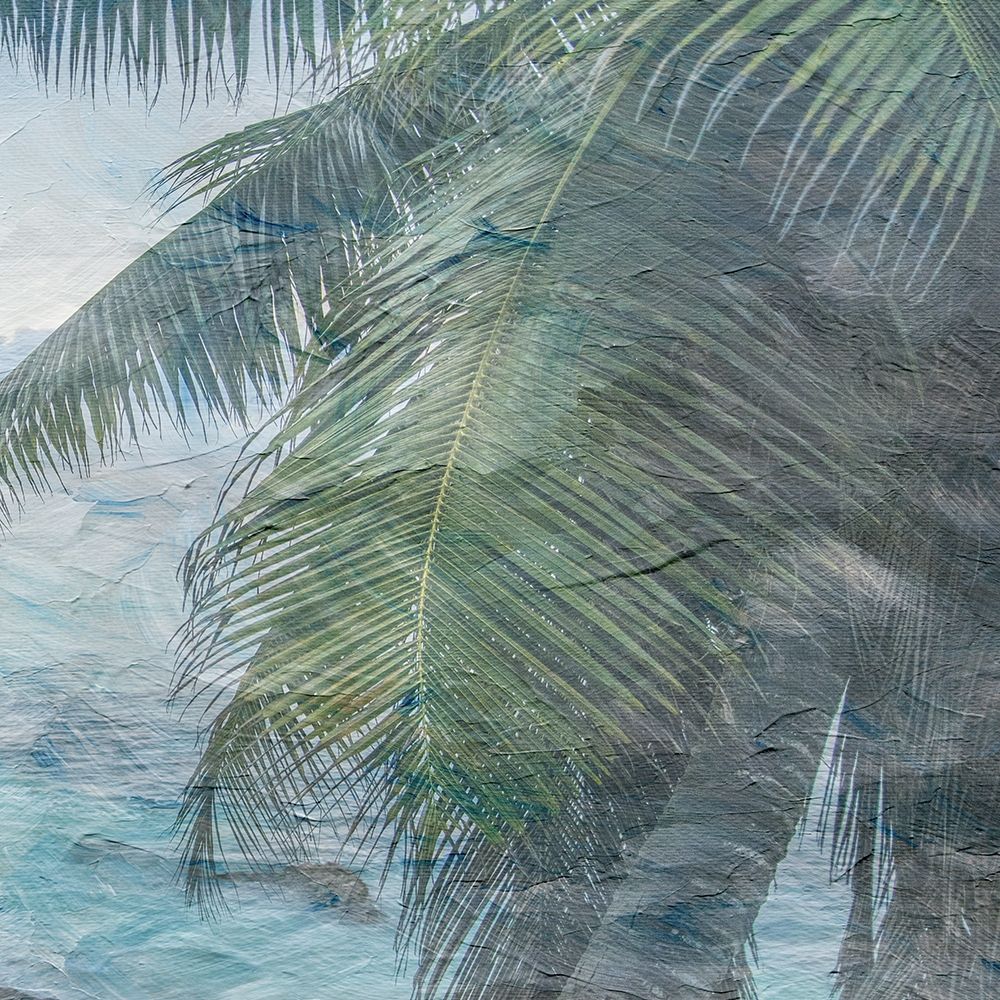 Painted Palm art print by Jamie Phillip for $57.95 CAD