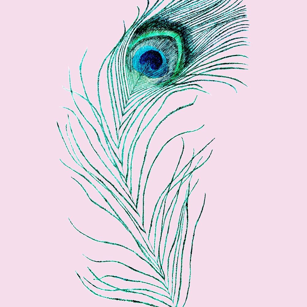 Peacoke Feather 2 art print by Jamie Phillip for $57.95 CAD