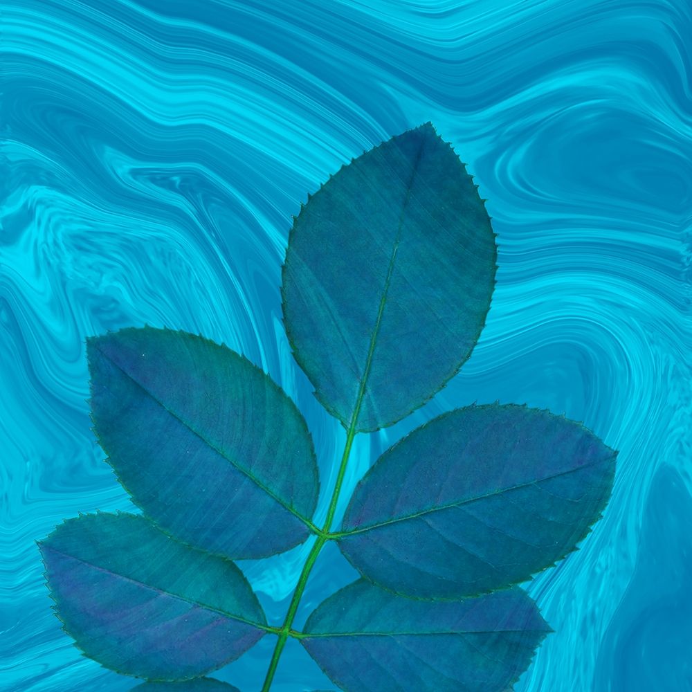 Teal Blue art print by Jamie Phillip for $57.95 CAD