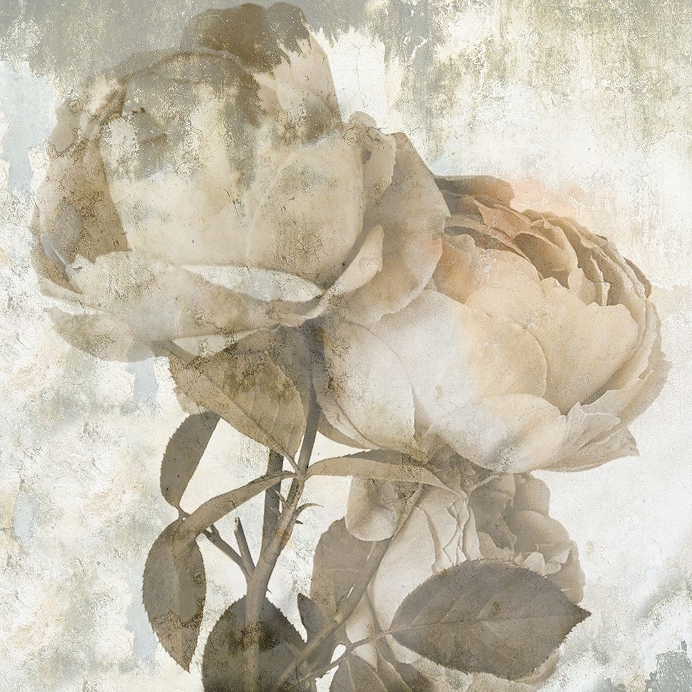 Love Rose art print by Jamie Phillip for $57.95 CAD