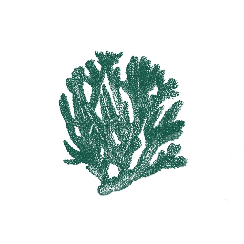 Coral 1 art print by Jamie Phillip for $57.95 CAD