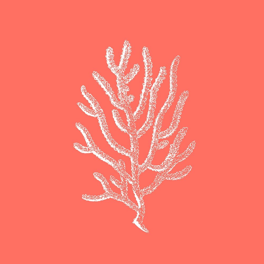 Coral 2 art print by Jamie Phillip for $57.95 CAD