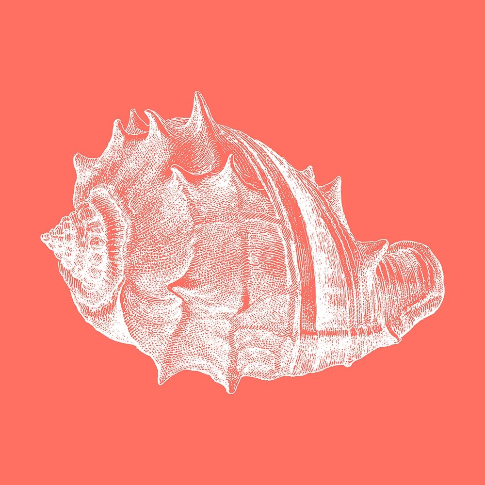 Coral 3 art print by Jamie Phillip for $57.95 CAD