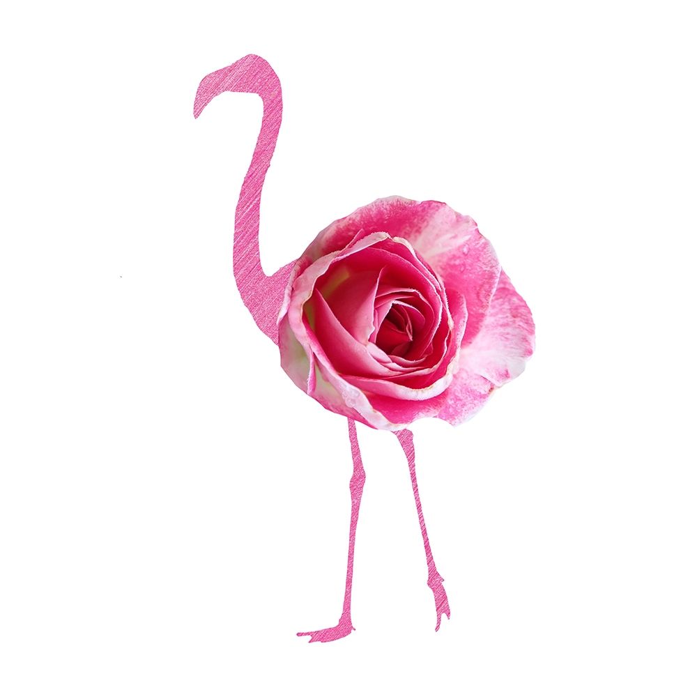 Flamingo Dress 2 art print by Jamie Phillip for $57.95 CAD