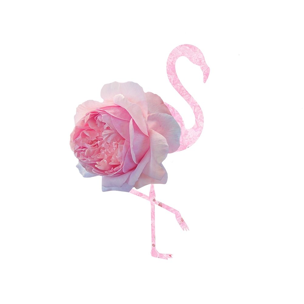 Flamingo Dress 3 art print by Jamie Phillip for $57.95 CAD