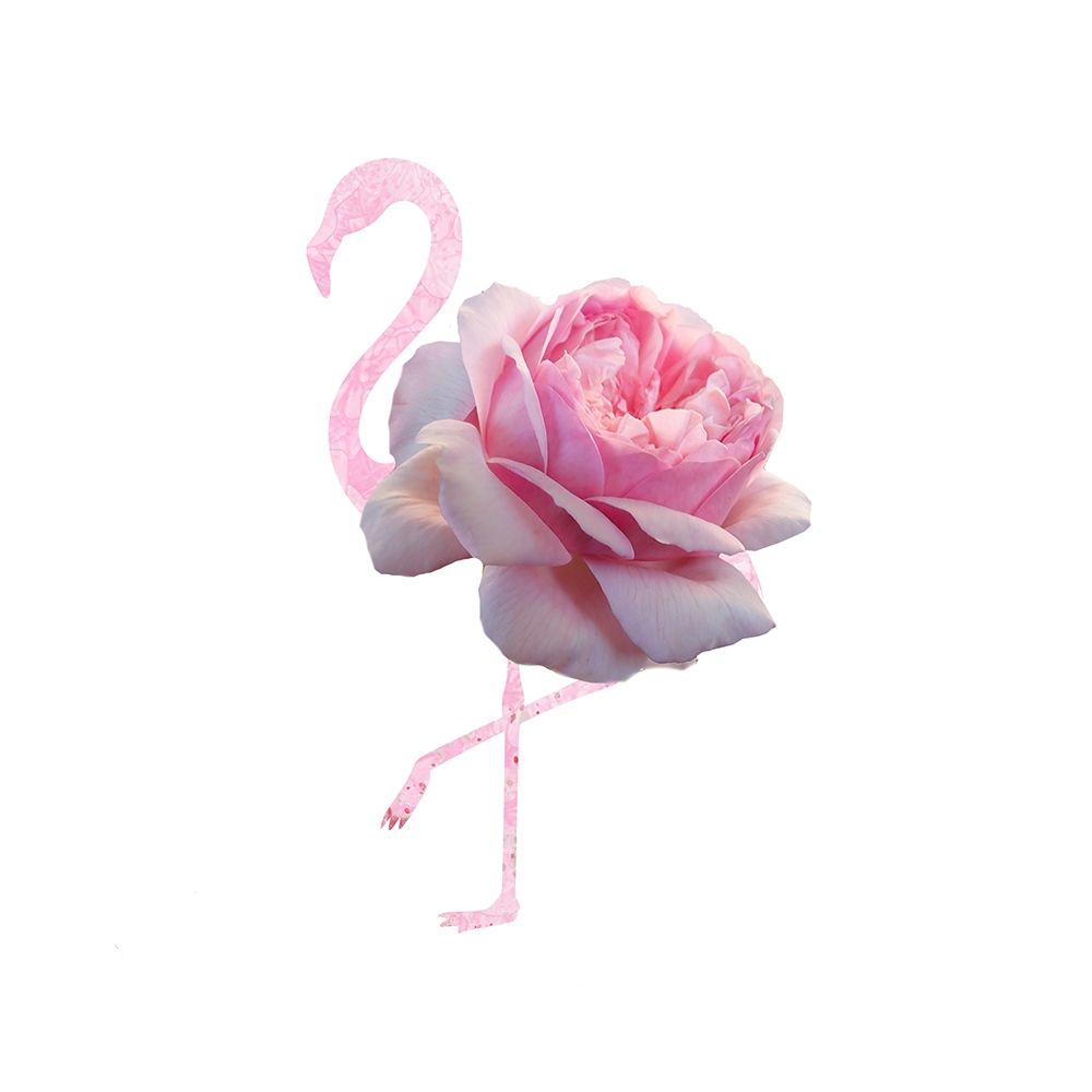Flamingo Dress 7 art print by Jamie Phillip for $57.95 CAD