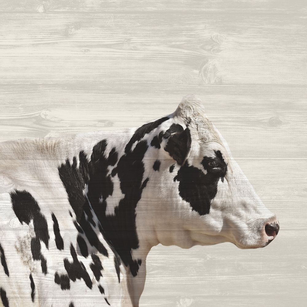 Moo 2 art print by Jamie Phillip for $57.95 CAD
