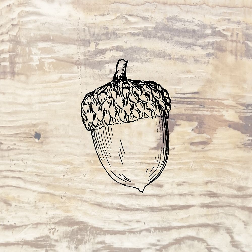Fall Acorn art print by Jamie Phillip for $57.95 CAD