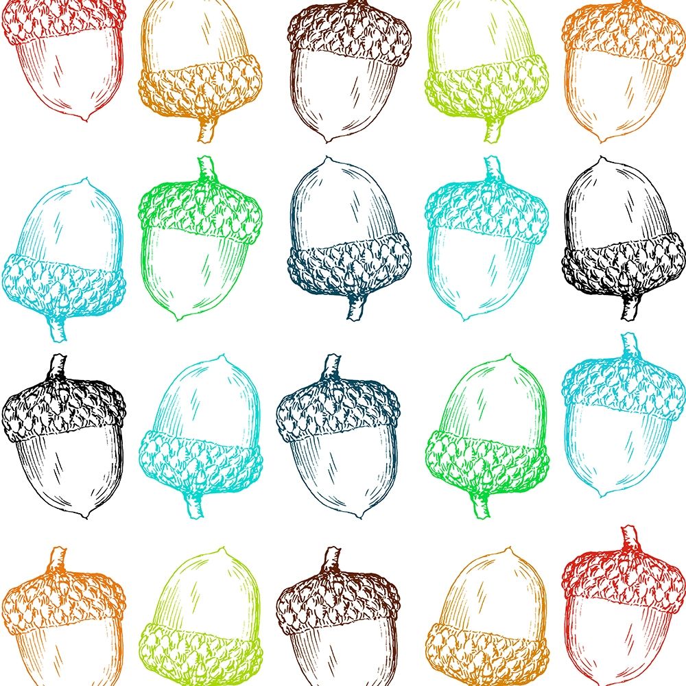 Acorn art print by Jamie Phillip for $57.95 CAD