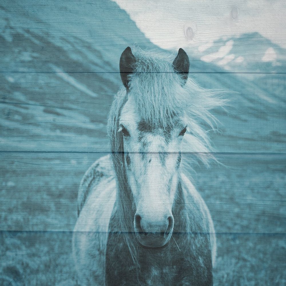 Roseta On The Farm art print by Jamie Phillip for $57.95 CAD