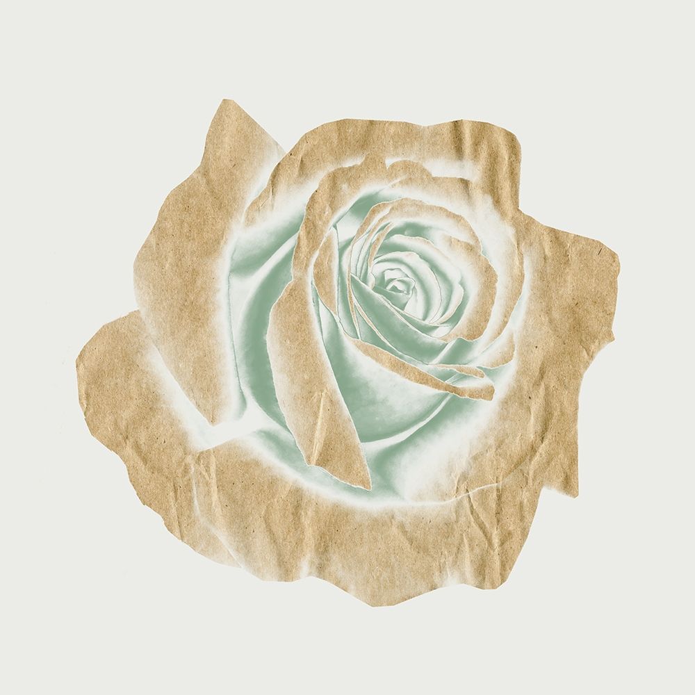 Copper Rose 1 art print by Jamie Phillip for $57.95 CAD