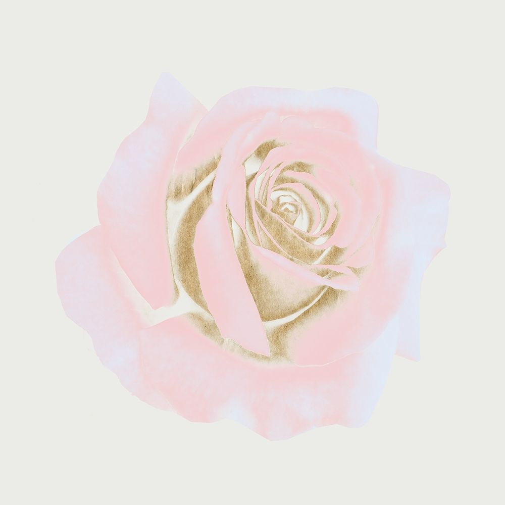 Copper Rose 2 art print by Jamie Phillip for $57.95 CAD