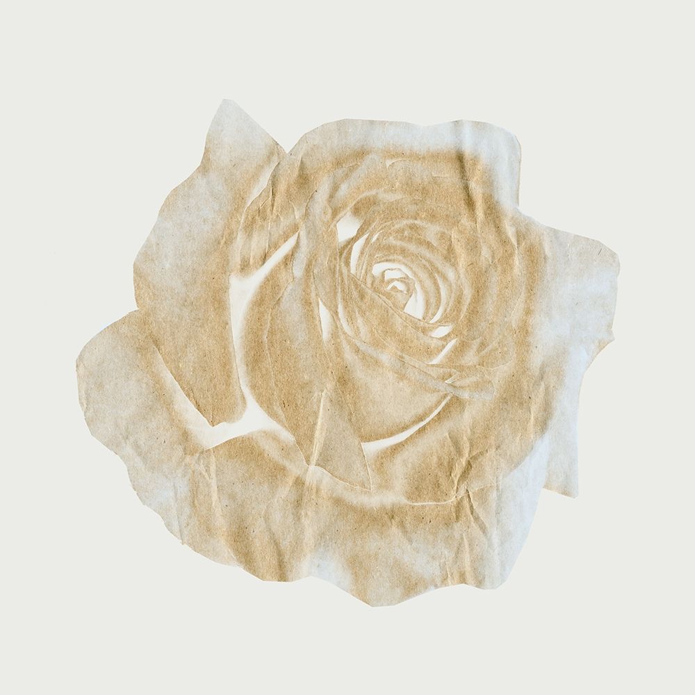 Copper Rose 3 art print by Jamie Phillip for $57.95 CAD