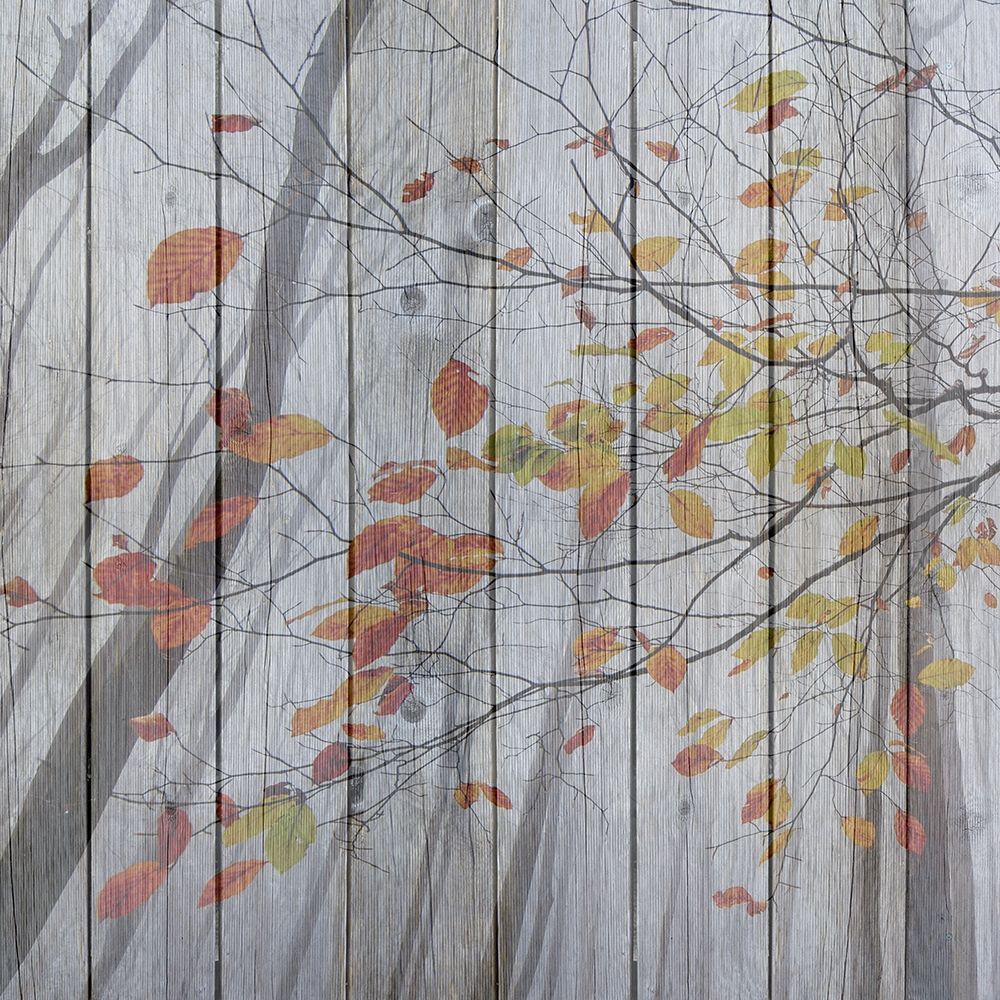 Fall Leaves art print by Jamie Phillip for $57.95 CAD