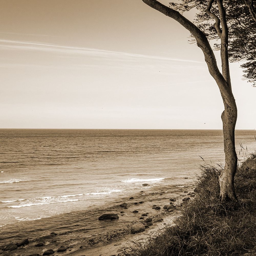 Seascape art print by Jamie Phillip for $57.95 CAD