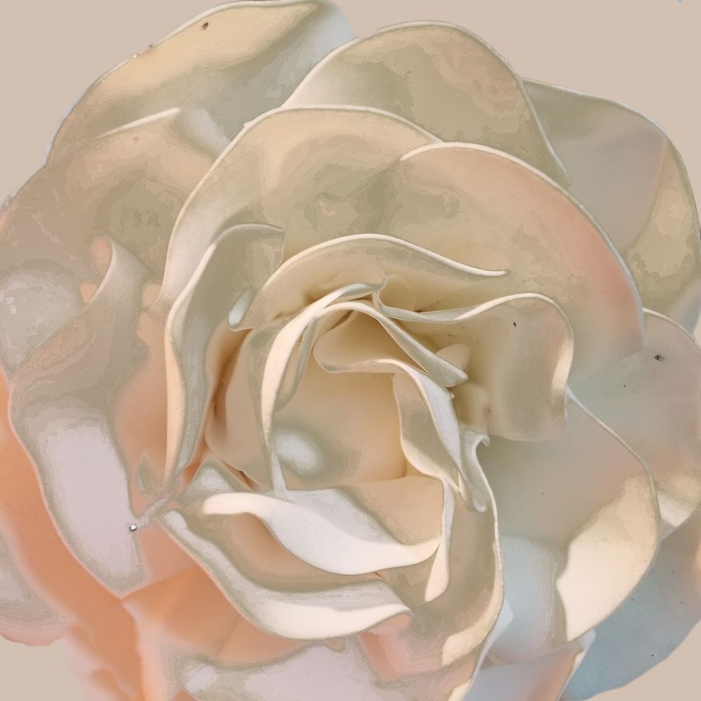 Parisian Rose art print by Jamie Phillip for $57.95 CAD