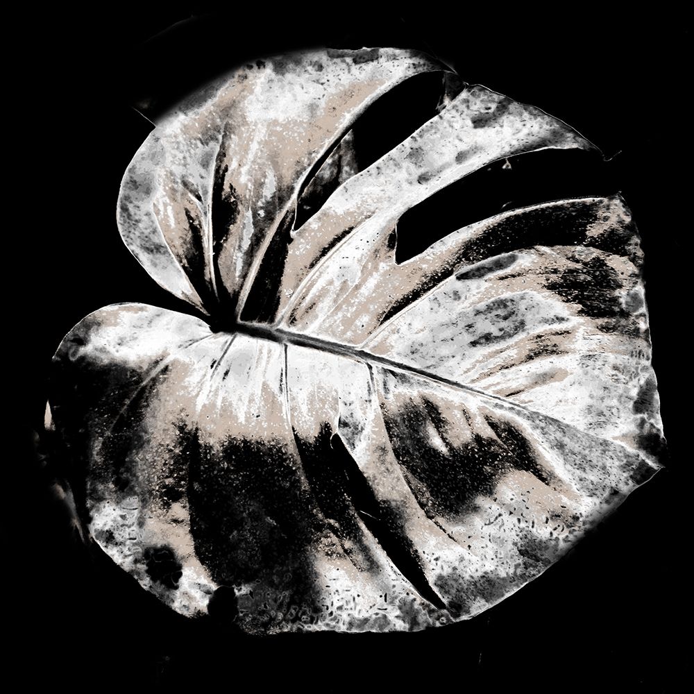 Tropic Leaf 2 art print by Jamie Phillip for $57.95 CAD