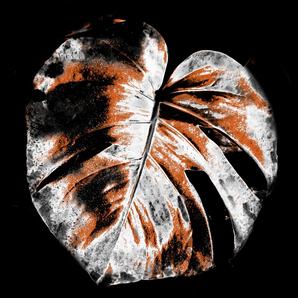 Tropic Leaf 3 art print by Jamie Phillip for $57.95 CAD