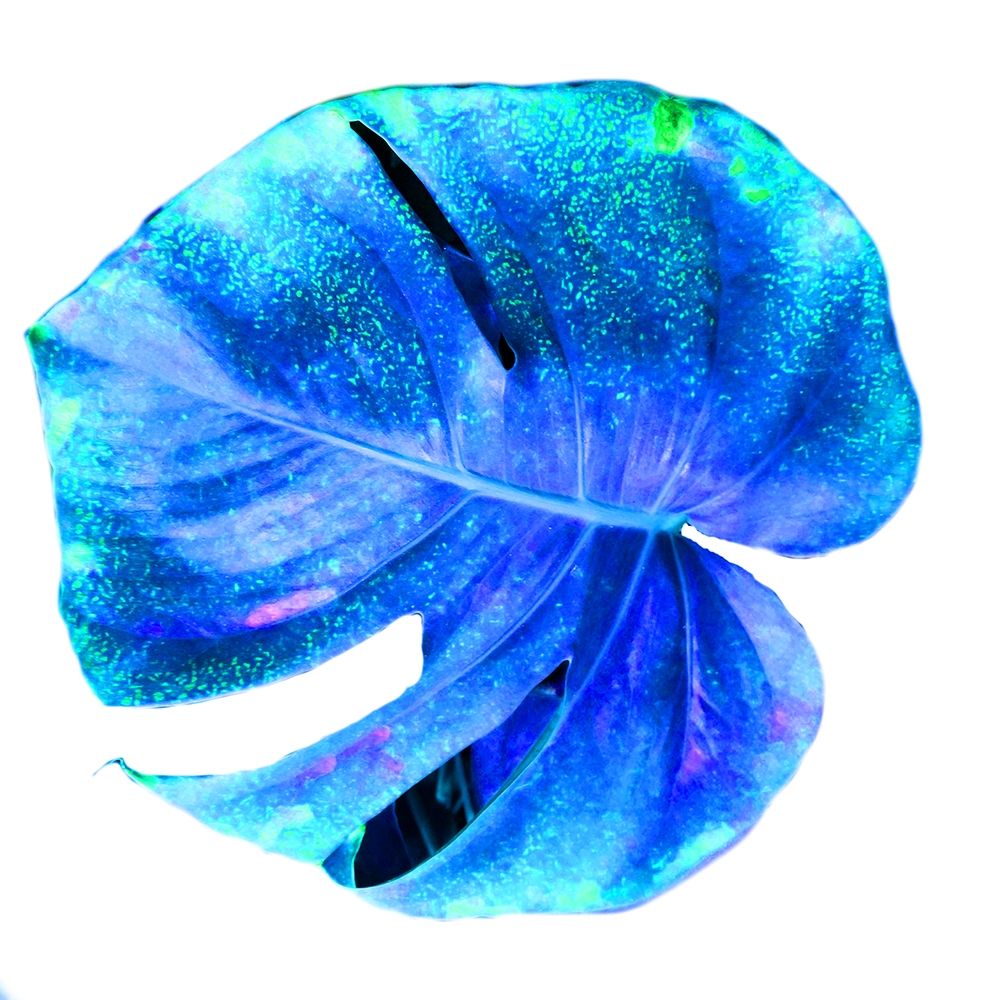 Blue Pacific 2 art print by Jamie Phillip for $57.95 CAD