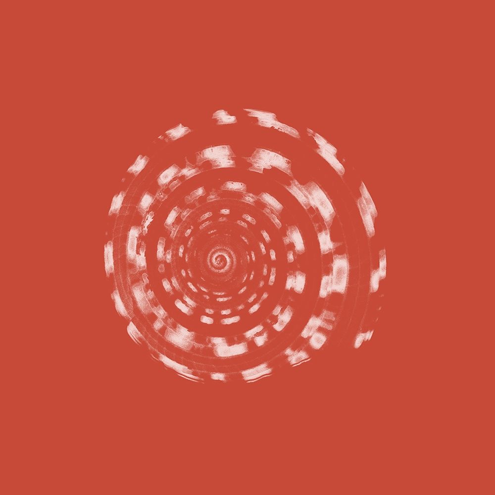 Coral Shell art print by Jamie Phillip for $57.95 CAD
