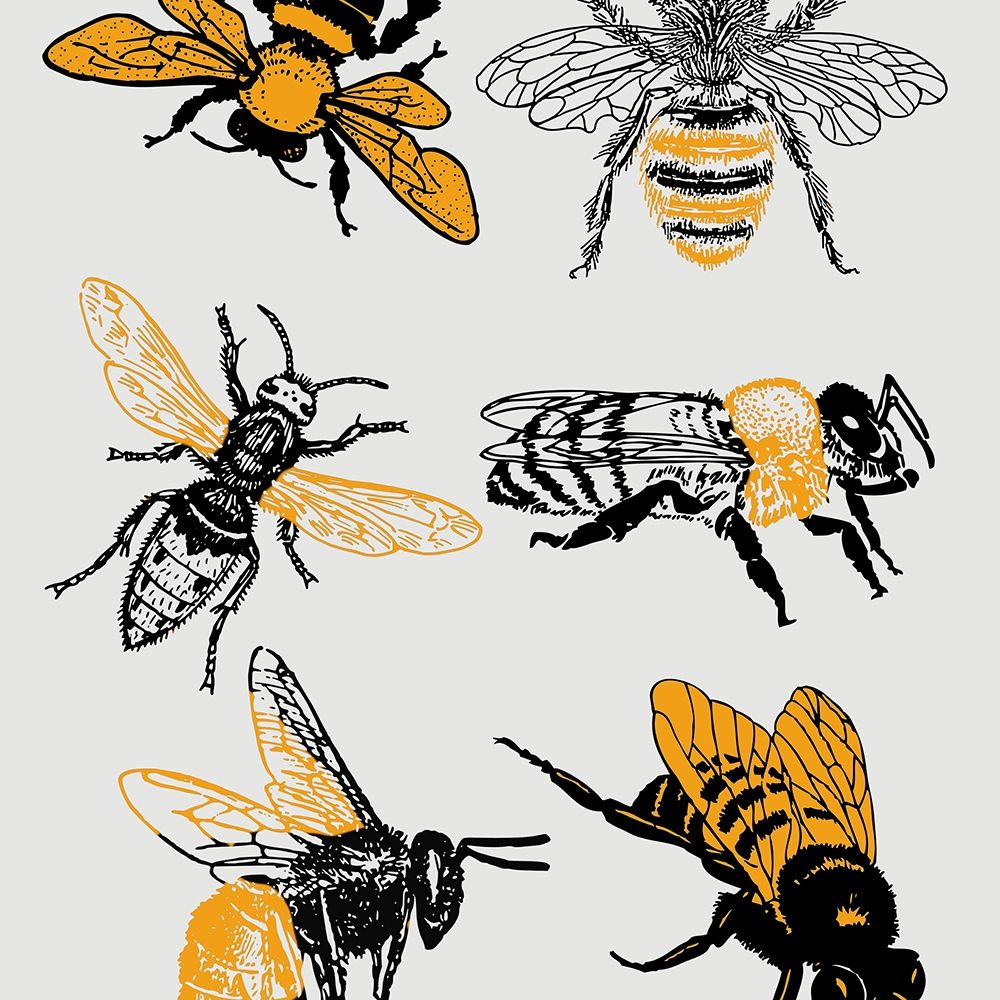 Honey Bees art print by Jamie Phillip for $57.95 CAD