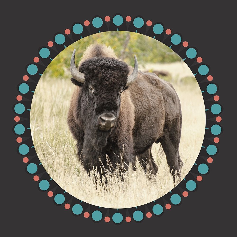 Buffalo Ring 1 art print by Jamie Phillip for $57.95 CAD