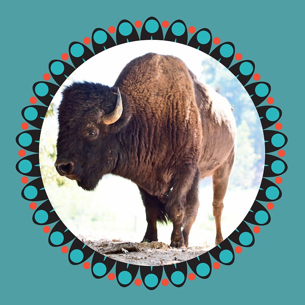 Buffalo Ring 2 art print by Jamie Phillip for $57.95 CAD