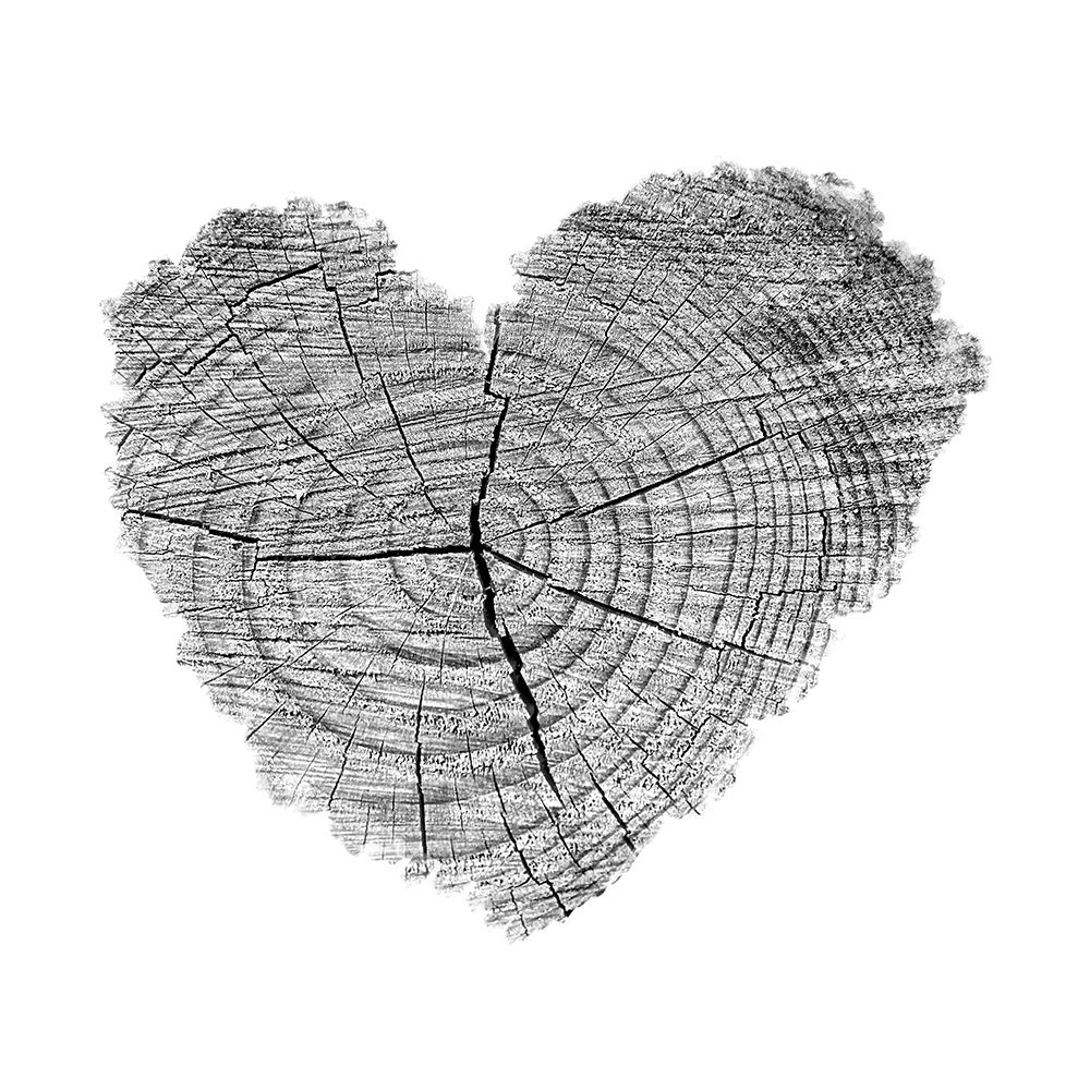 Love Stump 1 art print by Jamie Phillip for $57.95 CAD