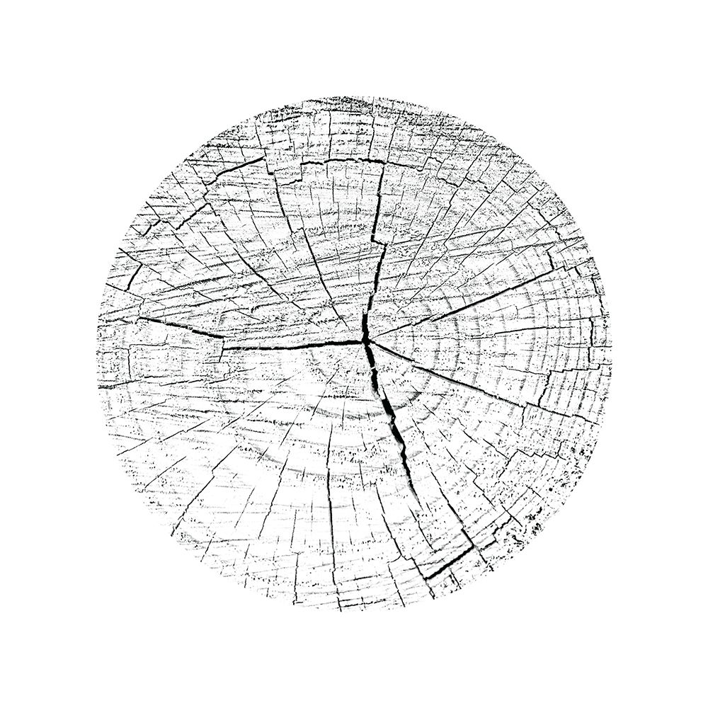 Love Stump 3 art print by Jamie Phillip for $57.95 CAD