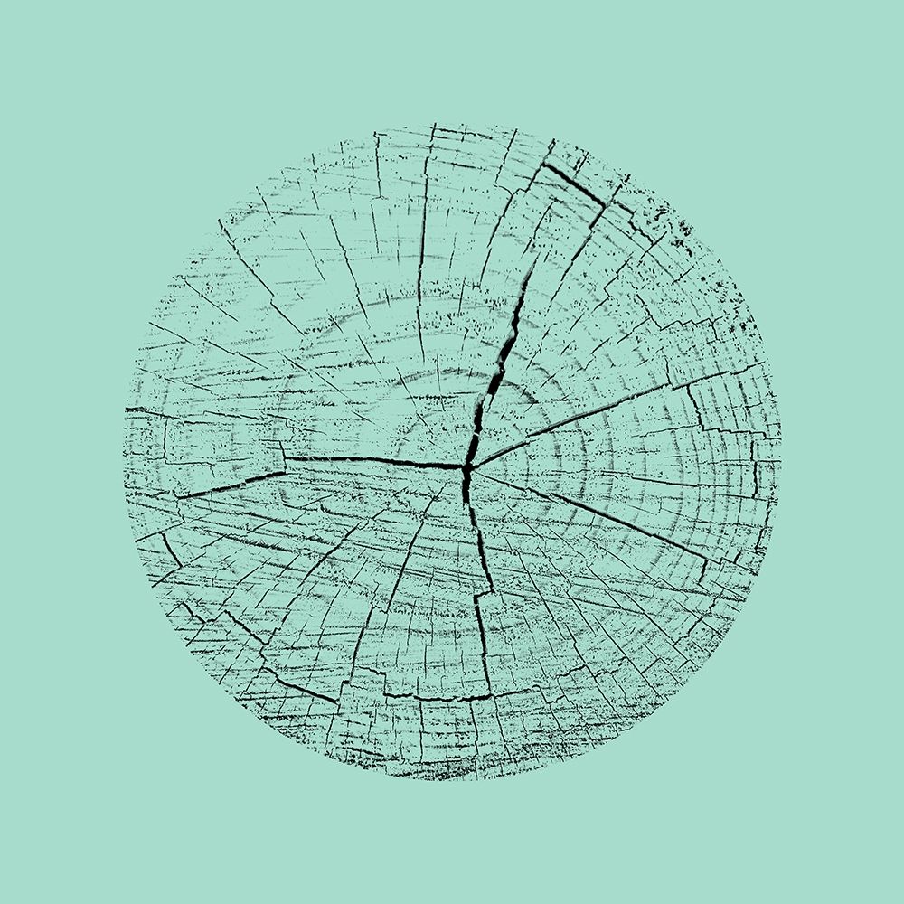 Love Stump 4 art print by Jamie Phillip for $57.95 CAD