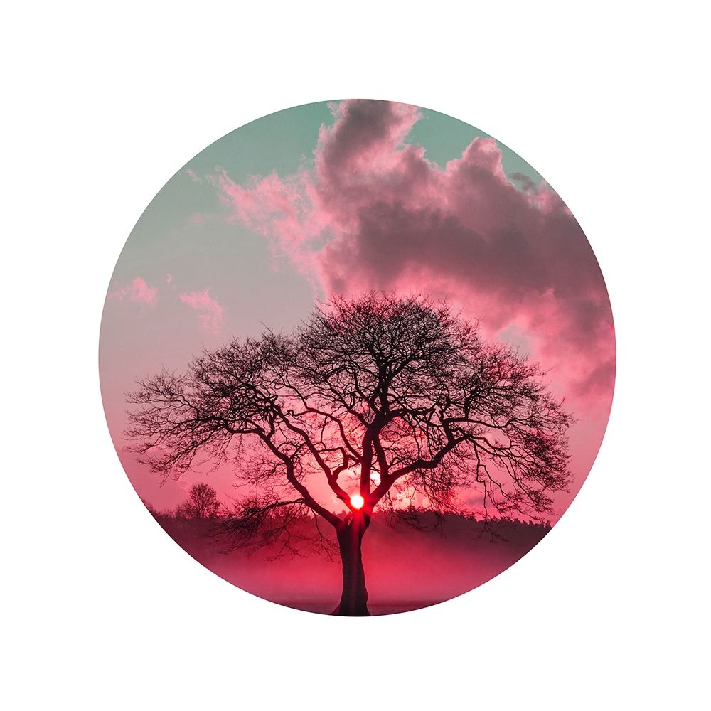 Nature art print by Jamie Phillip for $57.95 CAD