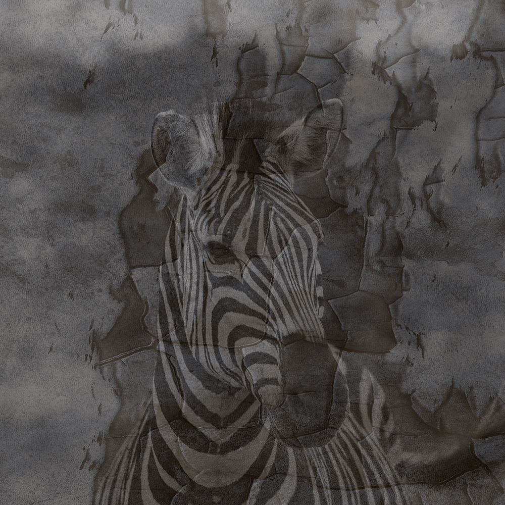 Zebra Abstract art print by Jamie Phillip for $57.95 CAD