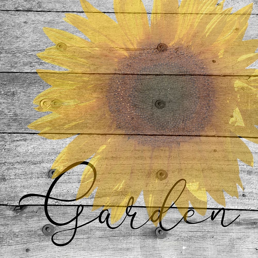 Sunflower 2 art print by Jamie Phillip for $57.95 CAD