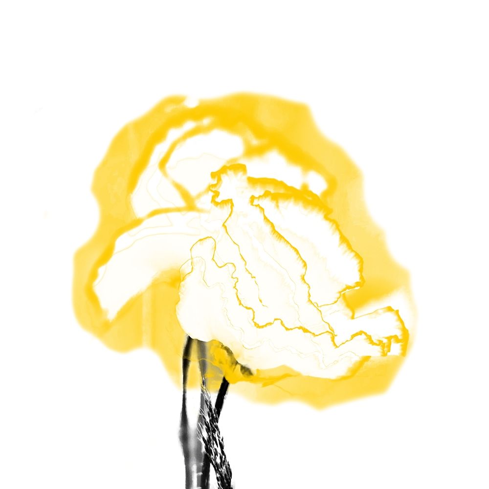 Plant Bloom 2 art print by Jamie Phillip for $57.95 CAD