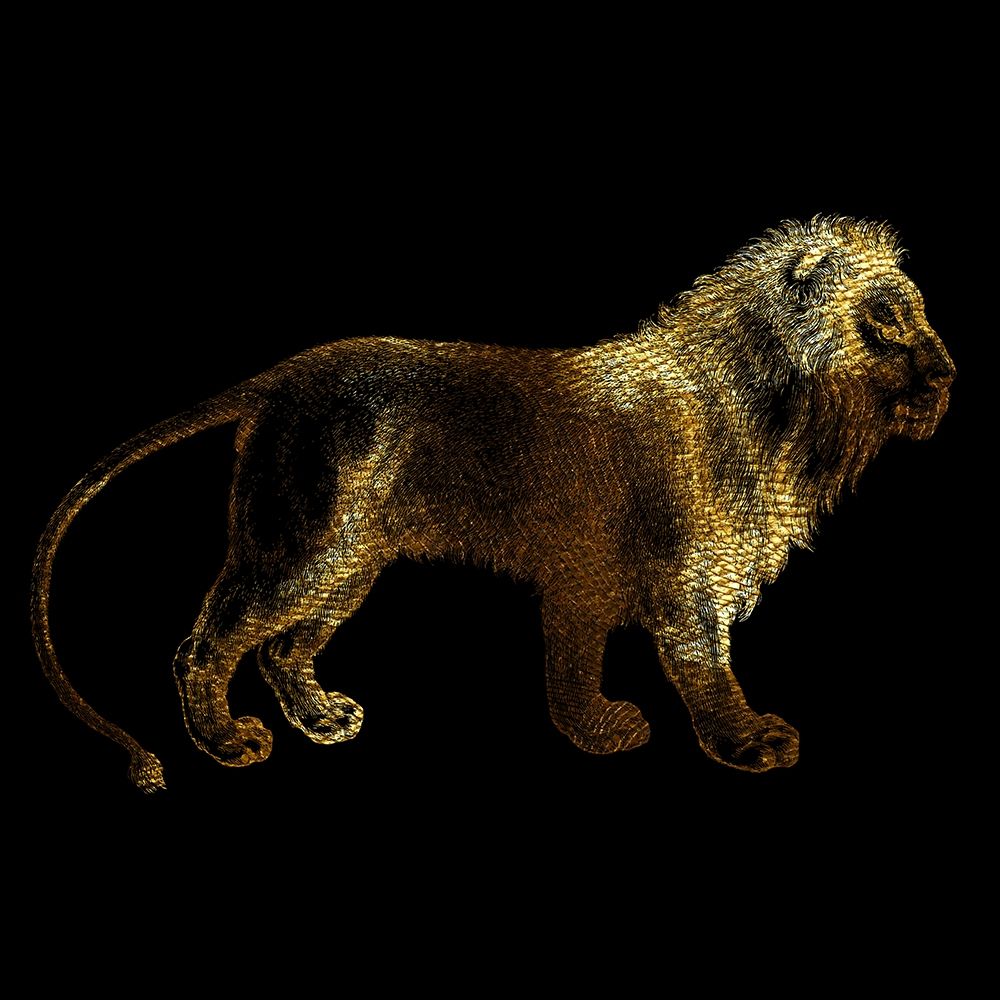 Lion art print by Jamie Phillip for $57.95 CAD