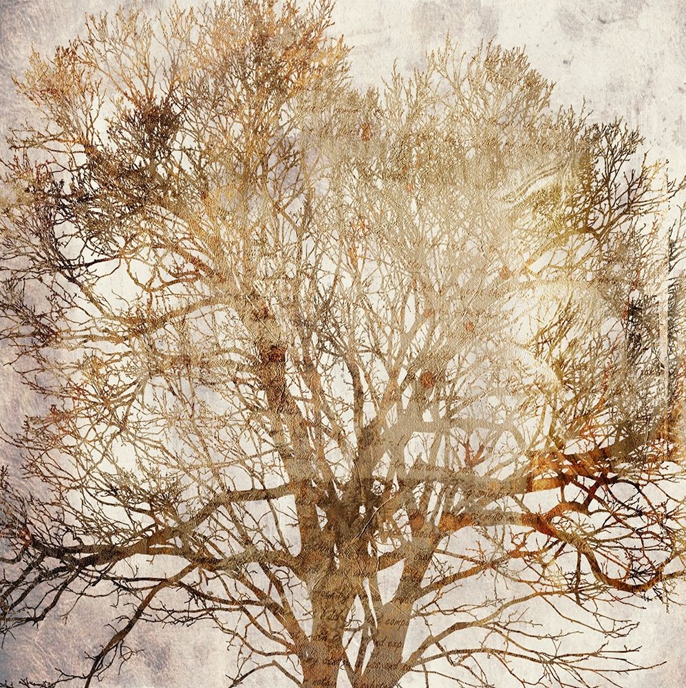 Memory Tree art print by Jamie Phillip for $57.95 CAD