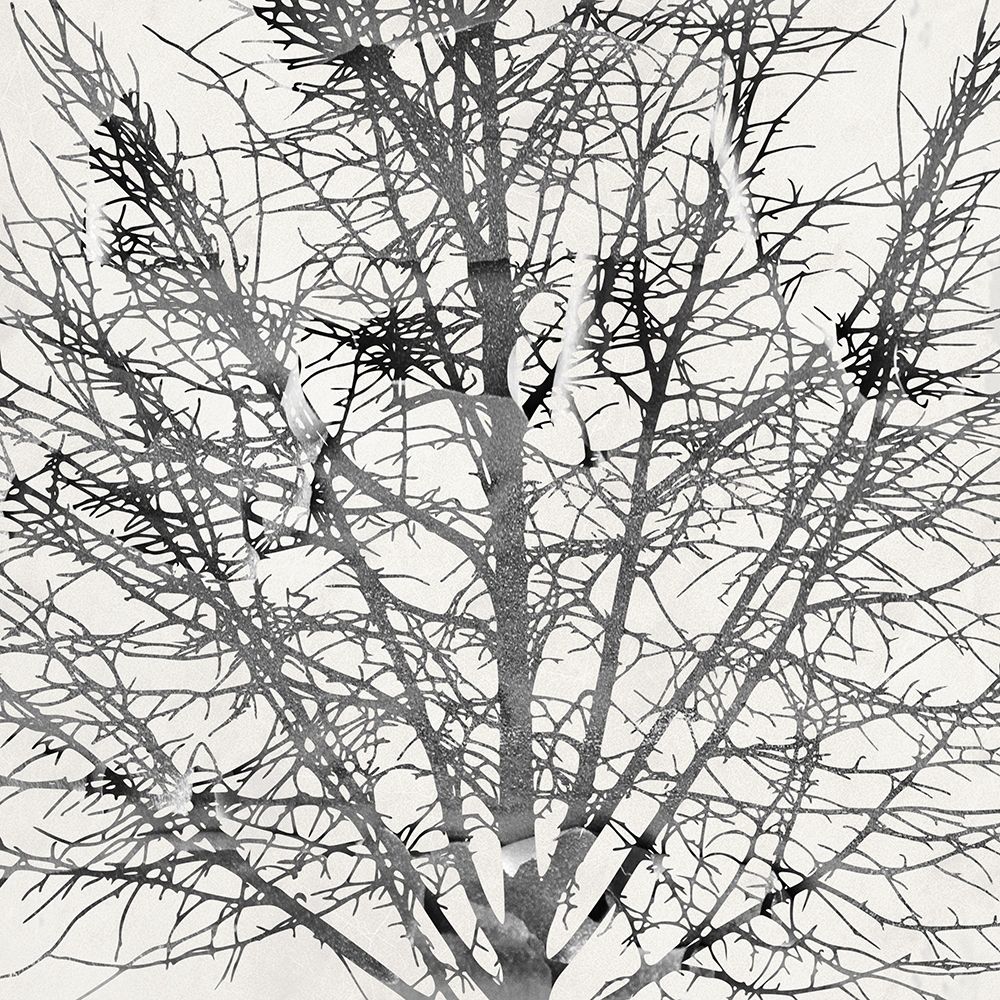 Window View art print by Jamie Phillip for $57.95 CAD
