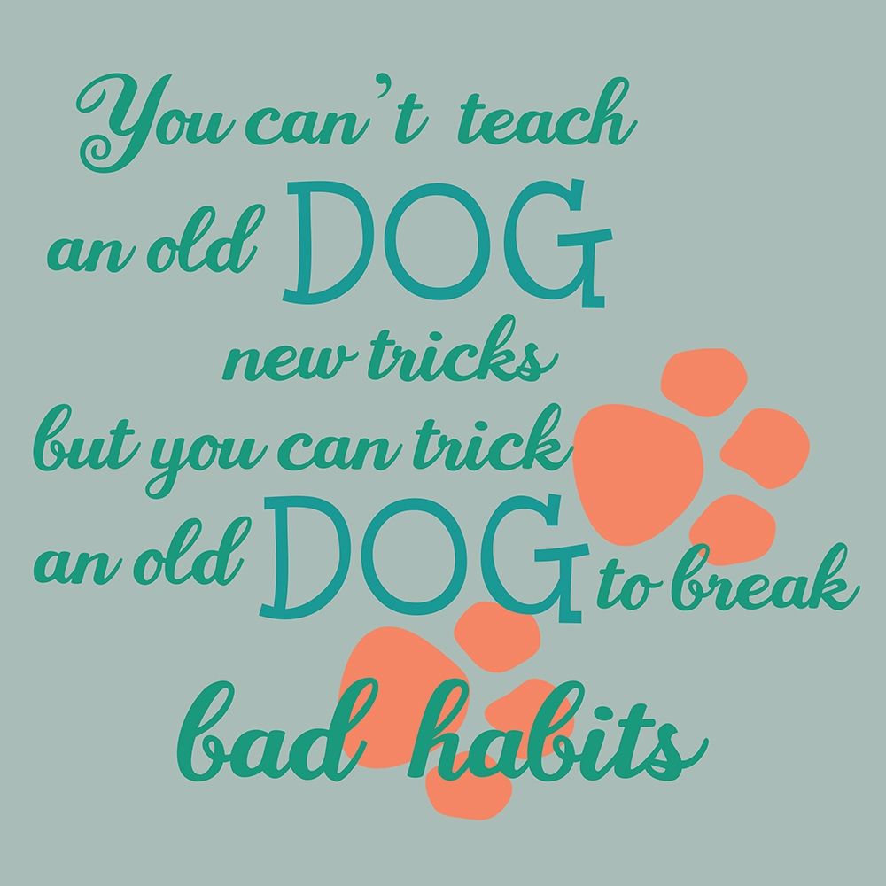 Old Dog art print by Jamie Phillip for $57.95 CAD